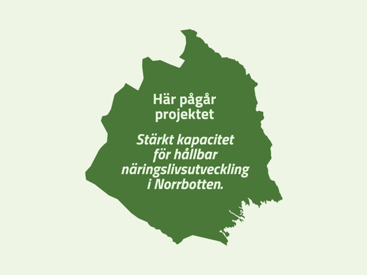 Illustration grön karta Norrbotten